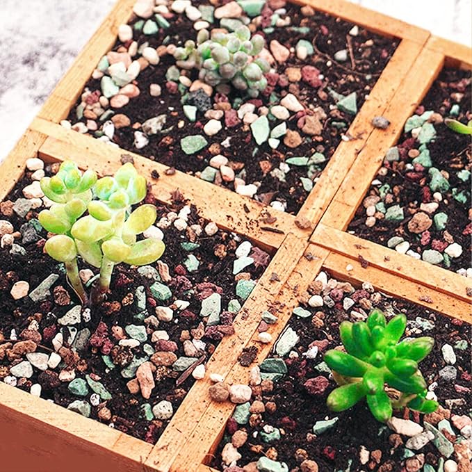 Succulent and Cactus Soil Potting Mix 1.1 LBS, Bonsai Soil Mix Ready to Use, Fast Draining with Added Nutrients