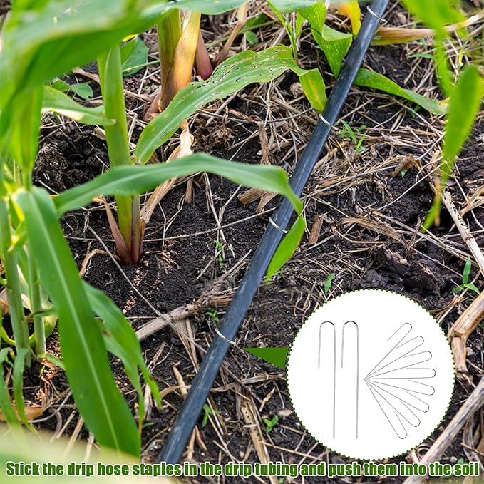 100Pcs Irrigation Drip Tubing Landscape Pins J Shape Garden Stakes 5 Inch Landscaping Staples Lawn Pins for Drip Tubing (Hold Drip Tubing Up to 1/2" Diameter)