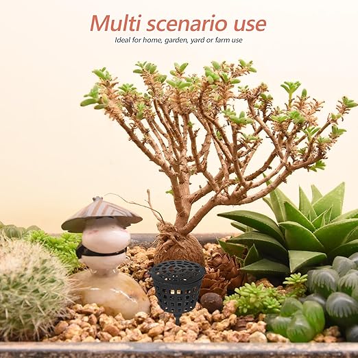 Happyyami 100PCS Portable Bonsai Fertilizer Box with Lid - Practical Fertilizer Container for Orchids and Succulents - Slow Release Bonsai Plant Food Gardening Tool (Black)