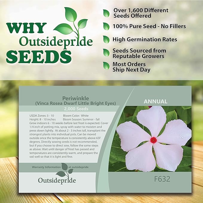 Outsidepride 2000 Seeeds Annnual Vinca Periwinkle Bright Eyes Ground Cover & Flower Seed for Planting