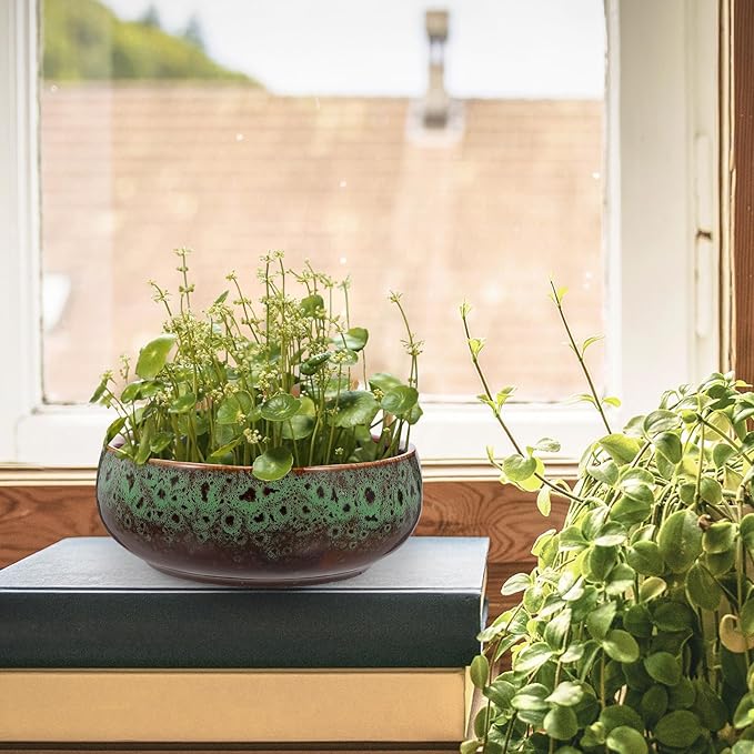 Happyyami Hydroponic Water Planter Pot Ceramic Succulent Bonsai Pot Water Lily Narcissus Planting Bowl Flowerpot Container Garden Decoration (Style b)