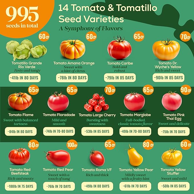 14 Tomatillo & Tomato Seeds for Planting Variety Pack - 990+ Non-GMO Heirloom Vegetable Seeds for Growing Tomato Indoor & Outdoor: Cape Gooseberry, Cherry, Flame, Roma, Pink, Beefsteak Tomatoes