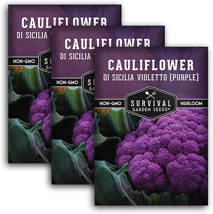 Di Sicilia Violetto Purple Cauliflower Seed for Planting - 3 Packets with Instructions to Plant & Grow Unique Cauliflower Plants in Your Home Garden - Non-GMO Heirloom Variety - Survival Garden Seeds