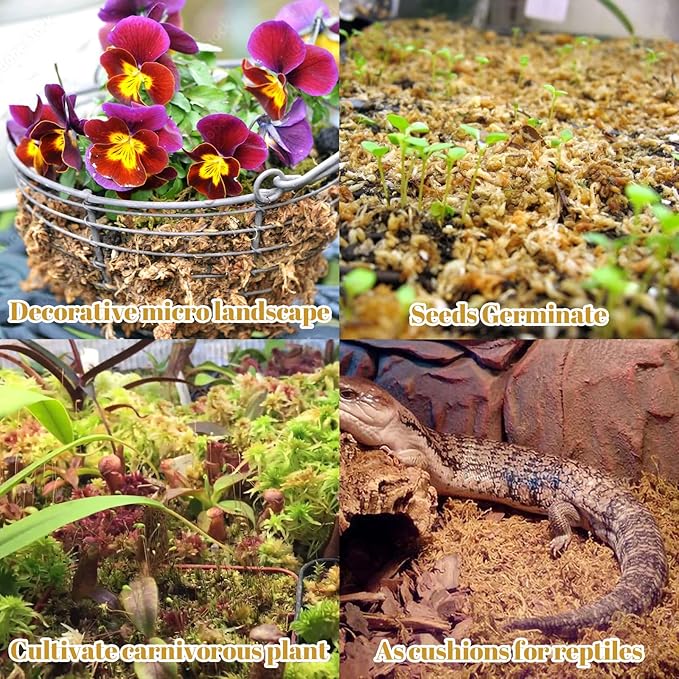 Legigo 2.2LBS Premium Sphagnum Moss for Plants- 40QT Natural Succulent Carnivorous Plant Moss Dried, Long Fiber Orchid Moss for Orchid Repotting Succulent Sarracenia Potted Plants Gardening & Reptiles