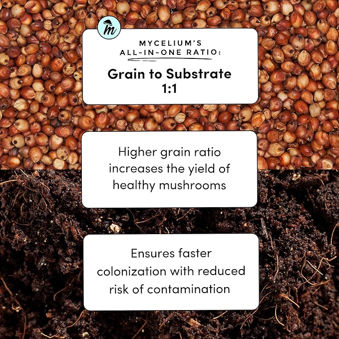 Mycelium's Superior Dung-Loving Mushroom Substrate & Milo Grain 5 LB All-in-One Bag – Organic Coco Coir, Vermiculite & Gypsum Formula, Pre-Sterilized & Ready for Easy Home Cultivation