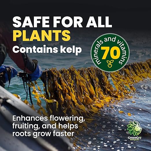 GreenGro Granular Plus Myco, All-in-One Fertilizer with Kelp and Humic Acid for Plants, Organic Root Stimulator Plant Food with Mycorrhizae for Indoor & Outdoor Gardens 2 lb