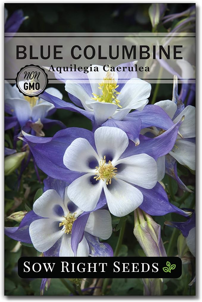 Sow Right Seeds - Blue Columbine Flower Seeds to Plant - Non-GMO Heirloom Packet With Instructions to Plant in Your Garden- Beautiful Perennial Flowers - Attract Hummingbirds, Bees and Butterflies (1)