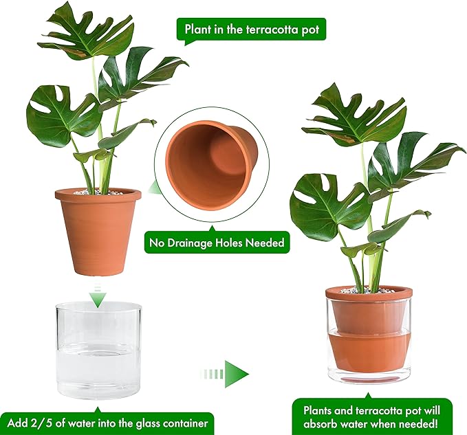 D'vine Dev 6 Inch Design Self Watering Pot for Indoor Plants, Terracotta Planter with Cylinder Glass Cup, Set of 1, 37-X-B-1