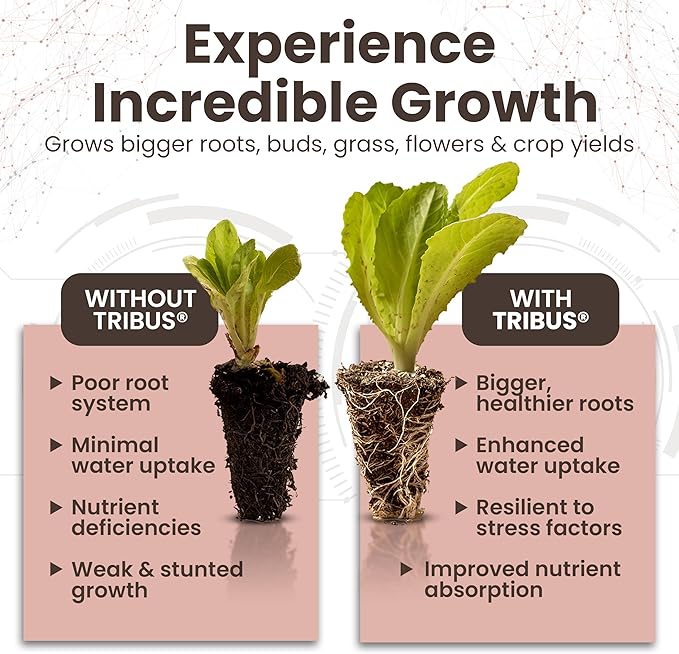 Tribus Organic Microbial Inoculant – Root Booster for Plants, Increases Plant Yield, Root Growth, Flower & Fruit Quality. Bloom Booster. Visible Root Growth in 24Hrs. Liquid Color May Vary. 3.38 oz