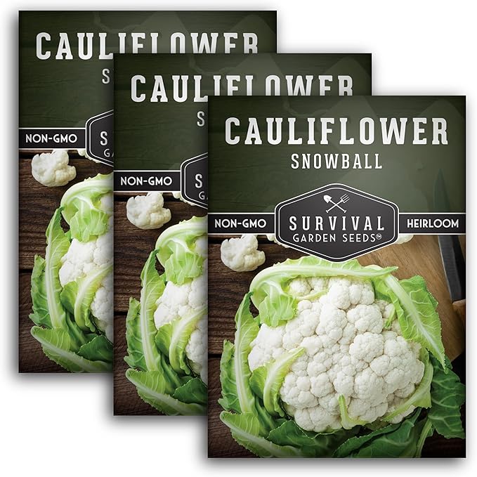 Snowball Cauliflower Seed for Planting - 3 Packets with Instructions to Plant & Grow Amazing White Vegetables in Your Home Vegetable Garden - Non-GMO Heirloom Variety - Survival Garden Seeds