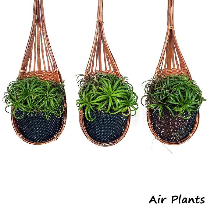 Horticultural Grade Perlite - Five 8 Quart Bag ~2 Lbs Each - Grade 1, Fine Coarseness (~1/8 Inch Particles) - Soil Amendment Additive - for Growth, Aeration & Drainage for Potting Mix