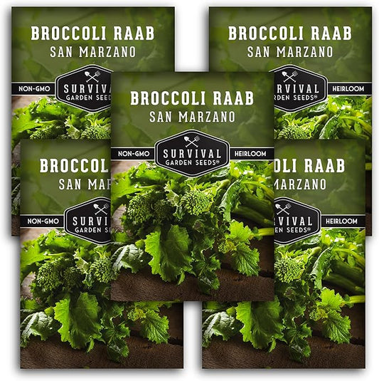 San Marzano Broccoli Raab Seed for Planting - 5 Packets with Instructions to Plant and Grow Rabe or Rapini Broccoli in Your Home Vegetable Garden - Non-GMO Heirloom Variety - Survival Garden Seeds