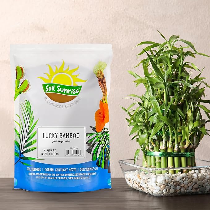 Lucky Bamboo Plant Potting Mix (4 Quarts), Custom Soil Mix for Repotting