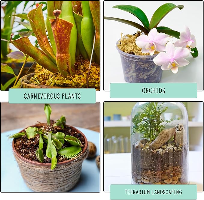 All Natural Sphagnum Moss Potting Mix (2 Quarts), Dried Moss Blend for Carnivorous Plants, Orchids, Top Dressing, and More