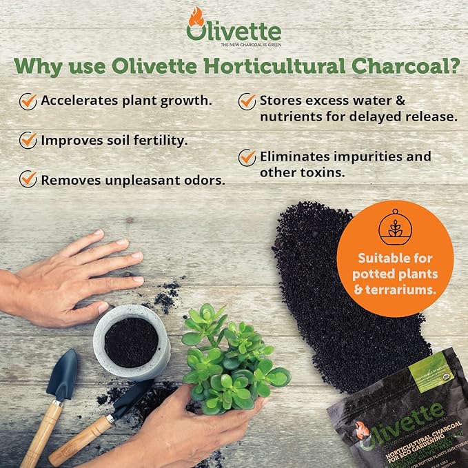 Olivette Horticultural Activated Charcoal for Plants Terrarium Horticulture Moisture Absorbers | Terrarium Supplies | USDA Organic Certified | Made from Recycled Olive Tree Byproducts | 3 Bags