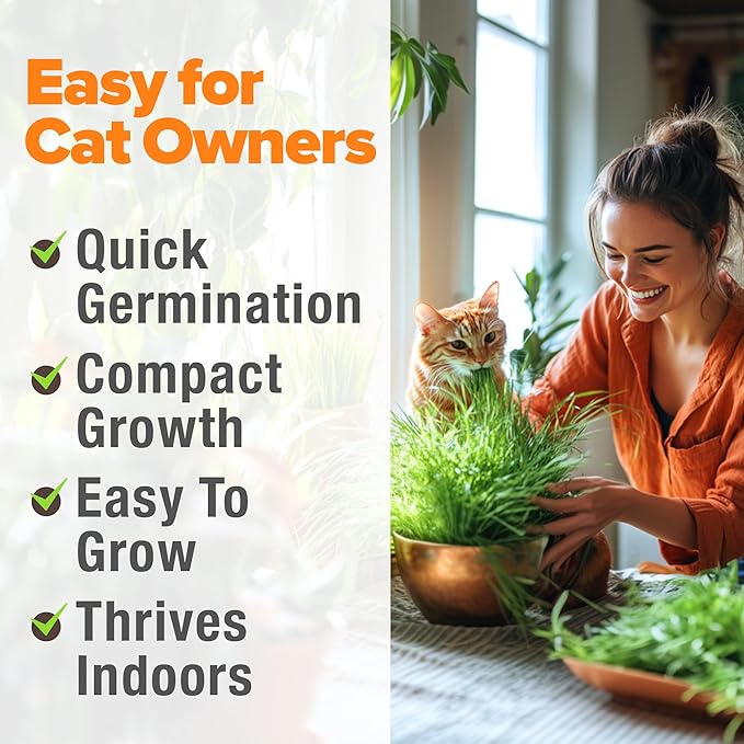 HOME GROWN Organic Cat Grass Seeds Pack (4oz) - Non-GMO Heirloom Cat Grass Seeds for Indoor Cats - Oat and Barley Pet Grass - Hairball Relief