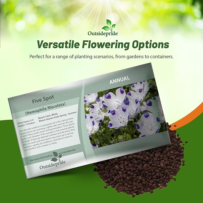 Outsidepride 1000 Seeds Annual Nemophila Five Spot Wild Flower Seeds for Planting