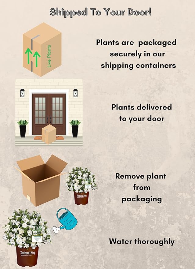 Southern Living Jublilation Gardenia, 2 Gal, Fragrant White Flowers