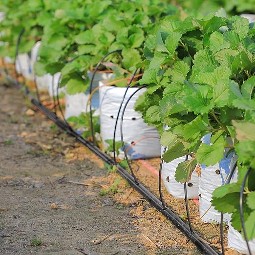 Yaomiao 984 ft Drip Irrigation Hose 1/4 Inch Blank Distribution Tubing Drip Irrigation Drip Line Watering Drip Automatic Irrigation Equipment Set for Garden Flower Bed Greenhouse Flower (Black)