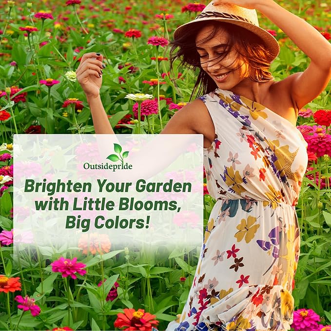 Outsidepride Zinnia Seeds - 1/4 Lb. Annual Blend of Hardy Compact Mixed Color Ball-Shaped Blooms for Planting in Outdoor Containers, Borders, Flower Beds, Cutting Gardens & Pollinator-Friendly Spaces