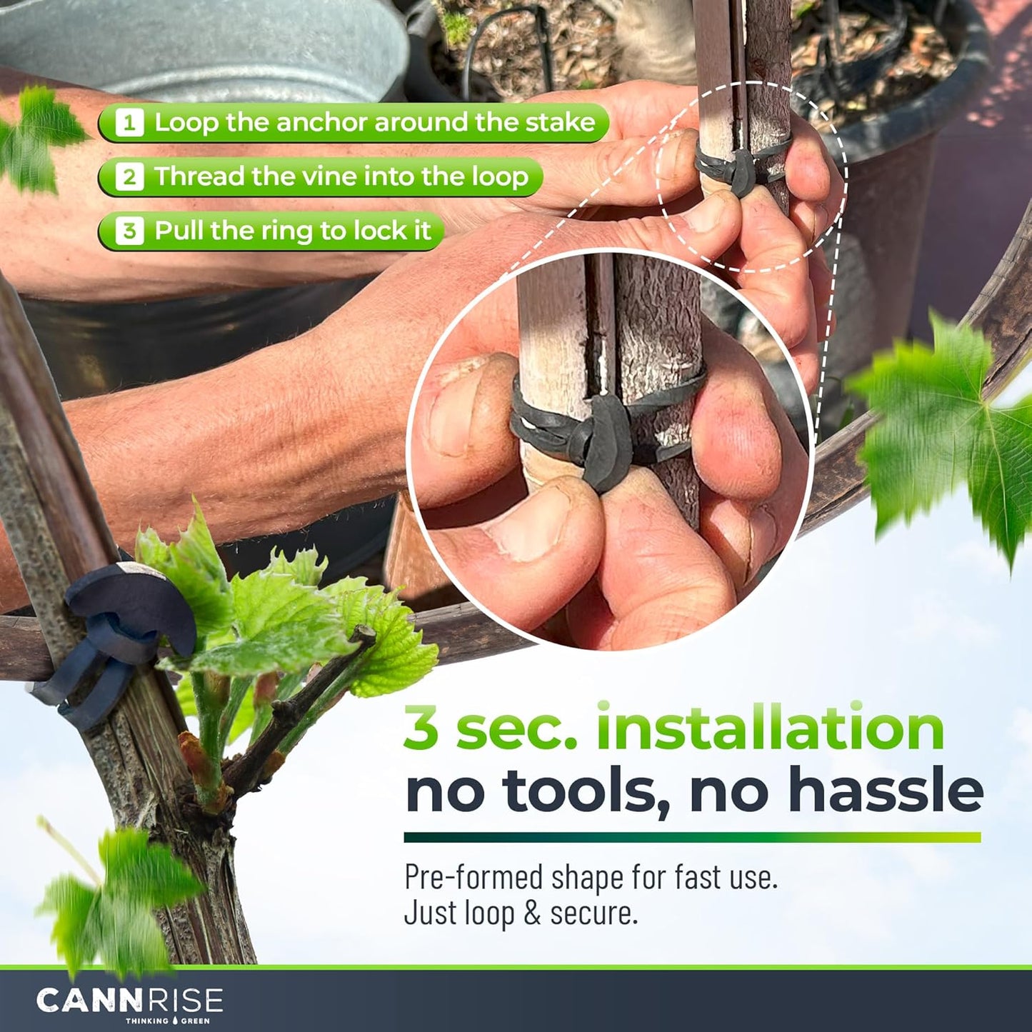 Anchor Rubber Bands for Trellising – 110 Pack of 5 cm/1.96 inches Rubber Bands for Outdoor Plant Support, Climbing Plants, Grape Vines, Trees – UV-Protected, Elastic, Multi-Purpose Use