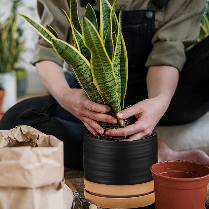 6 Inch Plant Pots, Ceramic Planter Pot with Drainage Hole & Saucer, Indoor/Outdoor Cylinder Round Planter Pot, Matte Black & Brown