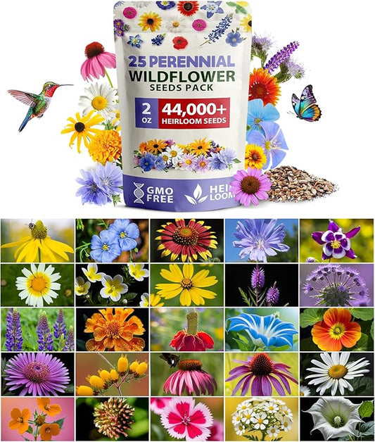 HOME GROWN 44,000 Wildflower Seeds: 2oz Perennial Wild Flower Seeds Mix - Flower Garden Seeds for Attracting Birds & Butterflies - 25 Variety Wildflowers Seed for Planting Outdoor Garden Flowers