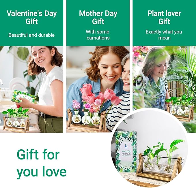Ivolador Propagation Station, Plants Terrarium, Plants Lover Gifts for Women,Plant Cutting Holder Home décor,Gifts for Women,House Warming Gifts New Home for her