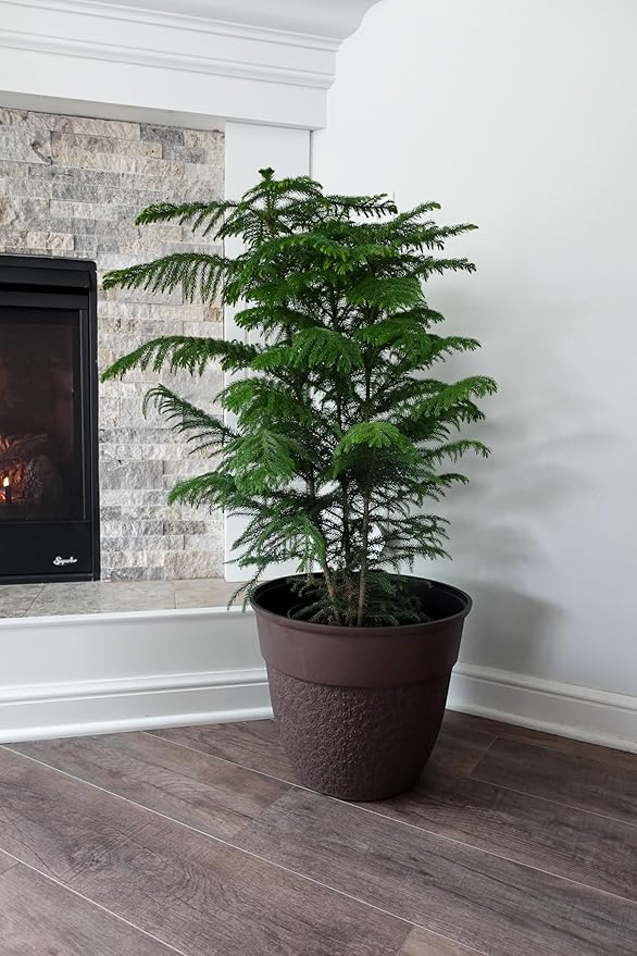 The HC Companies 16 Inch Brookhaven Decorative Round Planter - Lightweight Premium Resin Plant Pot with a Stonelike Texture for Indoor Outdoor Use, Brown