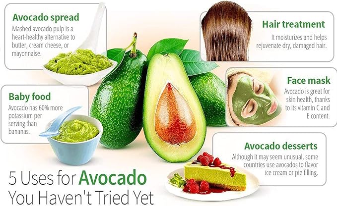 Avocado Tree Growing Kit, Clear, Practical Gifts for Women, Mom, Sister & Best Friend, Plant Indoors with Novelty Pit Grower Boat & Kitchen Garden Seed Starter