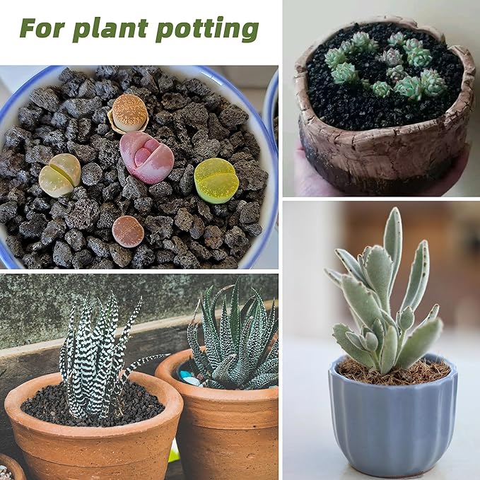 2.4LB Black Lava Rocks for Plants, Volcanic Rock Horticultural Lava Rock Soil for Landscaping Plants Drainage, Small Lava Rock Gravel for Succulents, Bonsai, Vase Fillers, Top Dressing