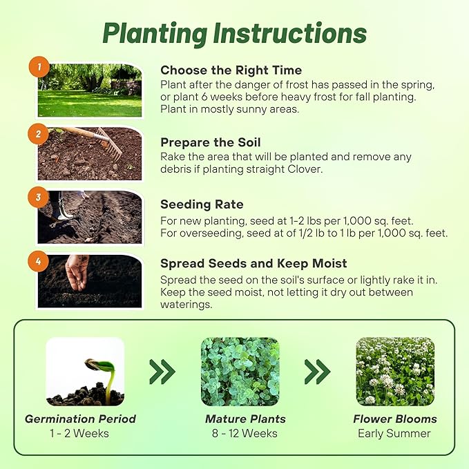 Outsidepride Perennial White Dutch Clover Seed - 40 lbs. Nitrocoated, Inoculated Clover Seeds for Lawn Alternative, Erosion Control, Food Plots, Ground Cover, & Pasture Mixtures in USDA Zones 3-10