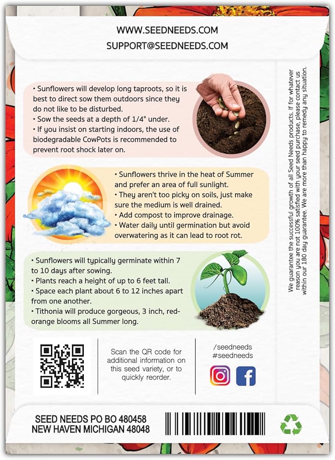 Seed Needs, Mexican Sunflower Seeds - 100 Heirloom Seeds for Planting Tithonia rotundifolia - Annual Wildflower That Attracts Pollinators/Butterflies (1 Pack)