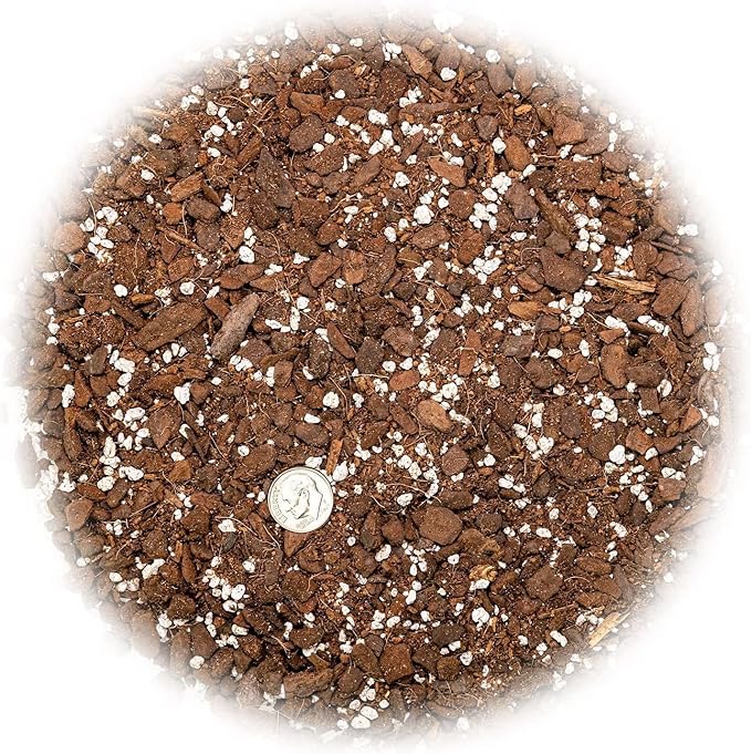 Monstera Obliqua Soil Mix - Trusted by Experts for Strong and Healthy Plants - 20 Quart (4 Bags of 5 Quart)