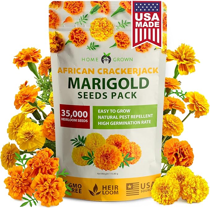 HOME GROWN Crackerjack Marigold Seeds | 4.25oz / 35,000 Flower Seeds Planting Outdoor | Large Bulk Pack | Non-GMO, High Germination, USA Sourced Wildflower Seeds | Companion Planting