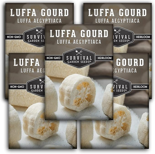 Survival Garden Seeds - Luffa or Loofah Seed for Planting - 5 Packets with Instructions to Plant and Grow Ornamental Gourds in Your Home Vegetable Garden - Non-GMO Heirloom Variety