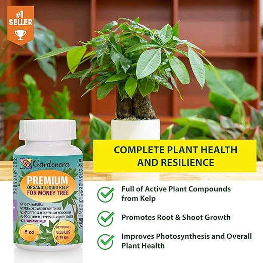 Money Tree Health Boost - 8 oz - Concentrated Kelp & Seaweed Extract for Strong and Healthy Money Trees