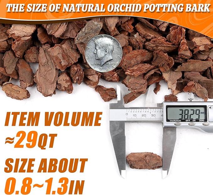 AVALUTION Orchid Potting Bark-29QT Organic Orchid Bark for Plants, All Natural Pine Bark Wood Chips for Houseplant Mulch, Orchid Plants Root Development, Mulch for Potted Plants