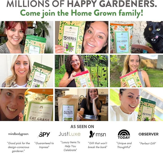 HOME GROWN Cat Grass Seeds - Grow Cat Grass for Indoor Cats - Cat Grass Seeds Bulk - Refill Cat Growing Grass Kit - Heirloom Cat Grass Seed (Cat Grass - 3pack)