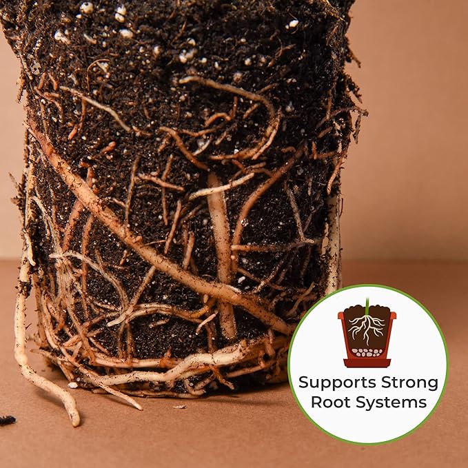 Perfect Plants Organic Snake Plant Soil in 4qt. Bag | Coco Coir Based Potting Mix Snake Plant Varieties