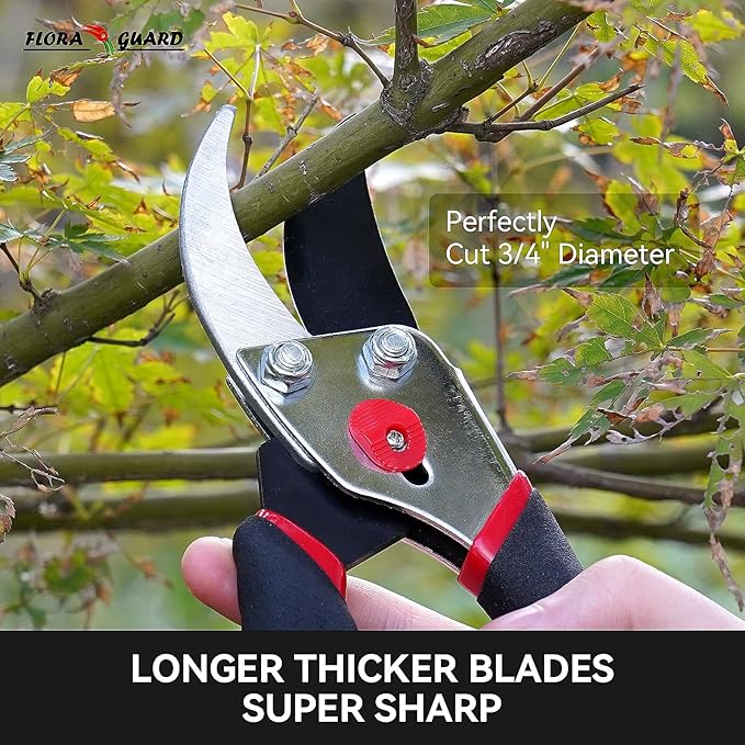 Flora Guard Garden Shears 8.5" Bypass Pruning Shears, Professional Ultra Sharp Sk5 Steel Garden Clippers, Heavy Duty Plant Cutting Scissors Garden Tools Supplies, Hedge Branch Trimmer, Super Durable