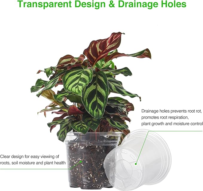 MIXC 30 Packs 5" Reinforced Clear Nursery Pots with Drainage Holes, Transparent Plastic Plant Pot Seedling Pots, Seed Starter Pots for Planting, Flower Pot