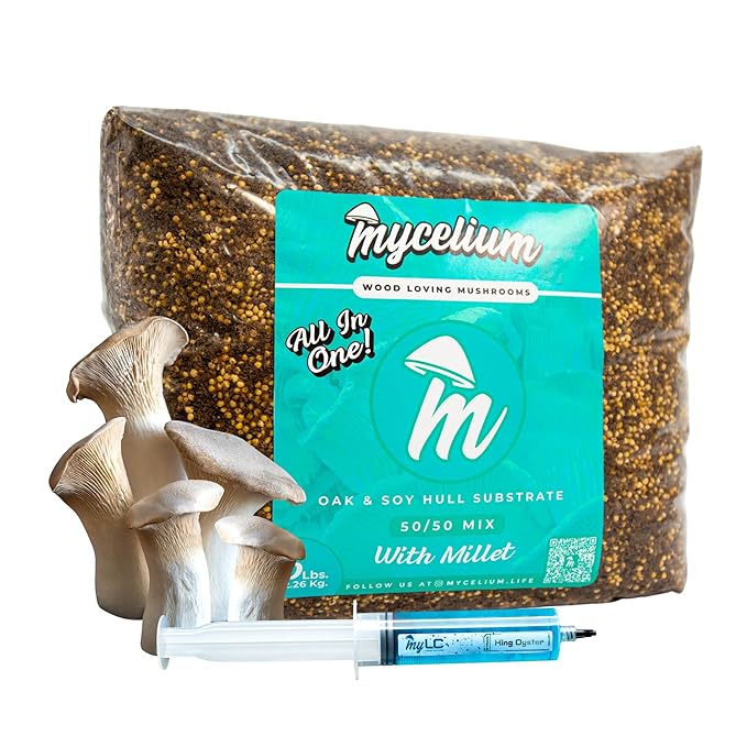 Mycelium’s King Oyster Gourmet Mushroom Kit | 5LBS Oak & Soy Hull with Millet Blend | 20ML Liquid Culture Syringe | All-in-One Complete Cultivation Kit | Pre-Sterilized - Home Growing Made Easy