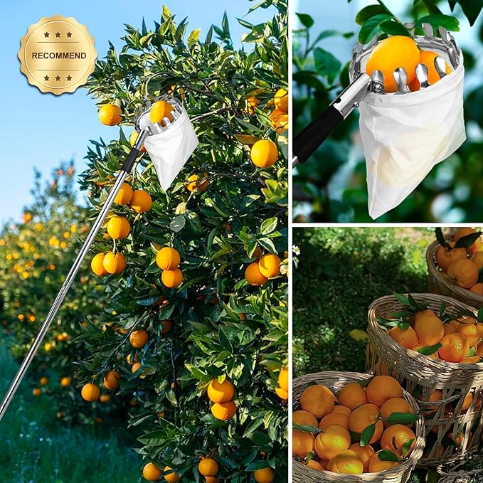 Fruit Picker Pole Tool with Basket Telescoping, 3.2FT-7.9FT Adjustable Pole, Apple Picker Tool with Soft Bag, Long Handle Picker for Avocado, Lemon, Orange, Mango, Limes, Persimmons, Plums
