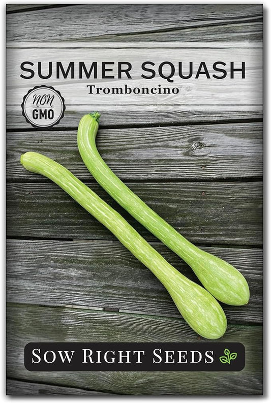 Sow Right Seeds - Tromboncino Rampicante Squash Seeds for Planting - Non-GMO Heirloom Packet with Instructions to Plant a Home Vegetable Garden - Grow Tasty Squash at Home, Great for Cooking