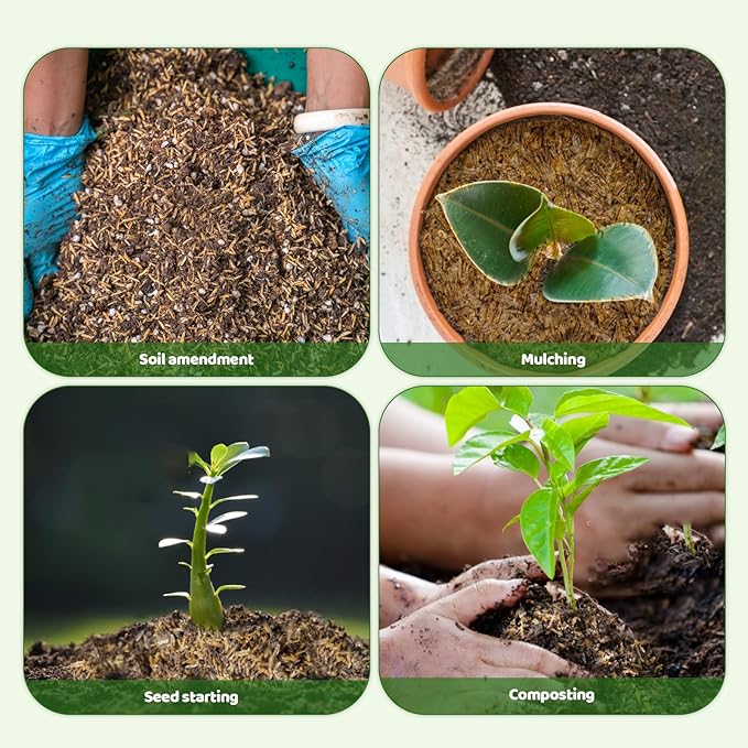 Rice Hulls for Gardening 2qt - Promote Root Development, Water Efficiency, and Disease Resistance