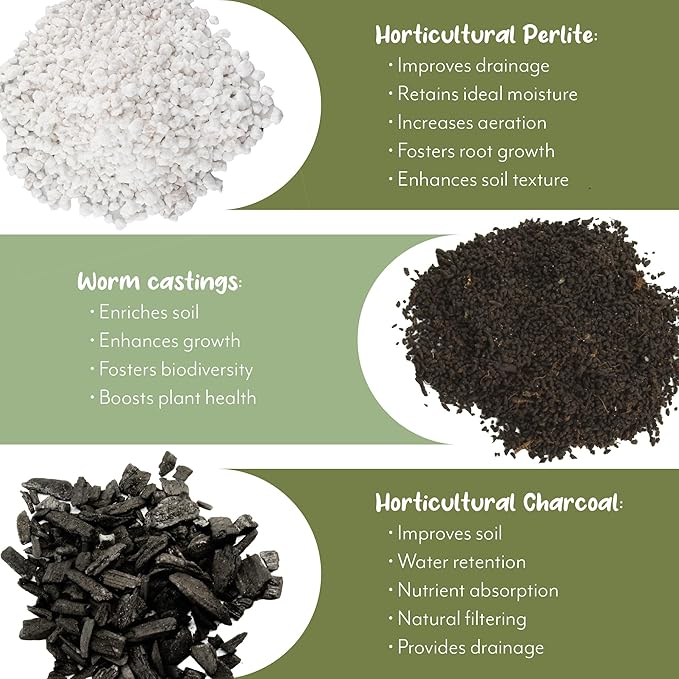 Aroid Plant Potting Soil Mix (8 Quarts), for Pothos Devil's Ivy, ZZ Plant, Chinese Evergreen, Dumb Cane, Philodendron, Syngonium, Alocasia, Colocasia Etc.