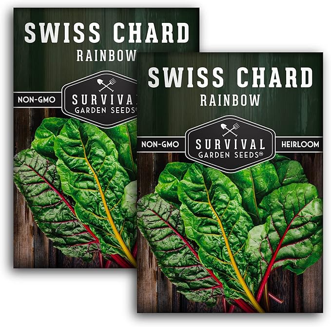 Survival Garden Seeds - Rainbow Swiss Chard Seed for Planting - 2 Packs with Instructions to Plant and Grow Colorful Stalked Vegetable Greens in Your Home Vegetable Garden - Non-GMO Heirloom Variety
