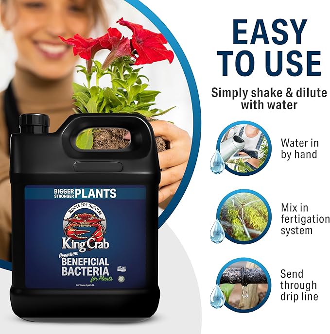 King Crab Root Stimulator for Plants, Ultra Concentrated OMRI Organic Bacteria, 275 Million Organisms per ml, Roses, Tomatoes, Houseplants, Soil Conditioner, Soil Activator, Soil Microbes