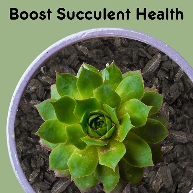 Horticultural Charcoal for Indoor Plants (12 Quarts), Hardwood Soil Additive for Orchids, Terrariums, and Gardening